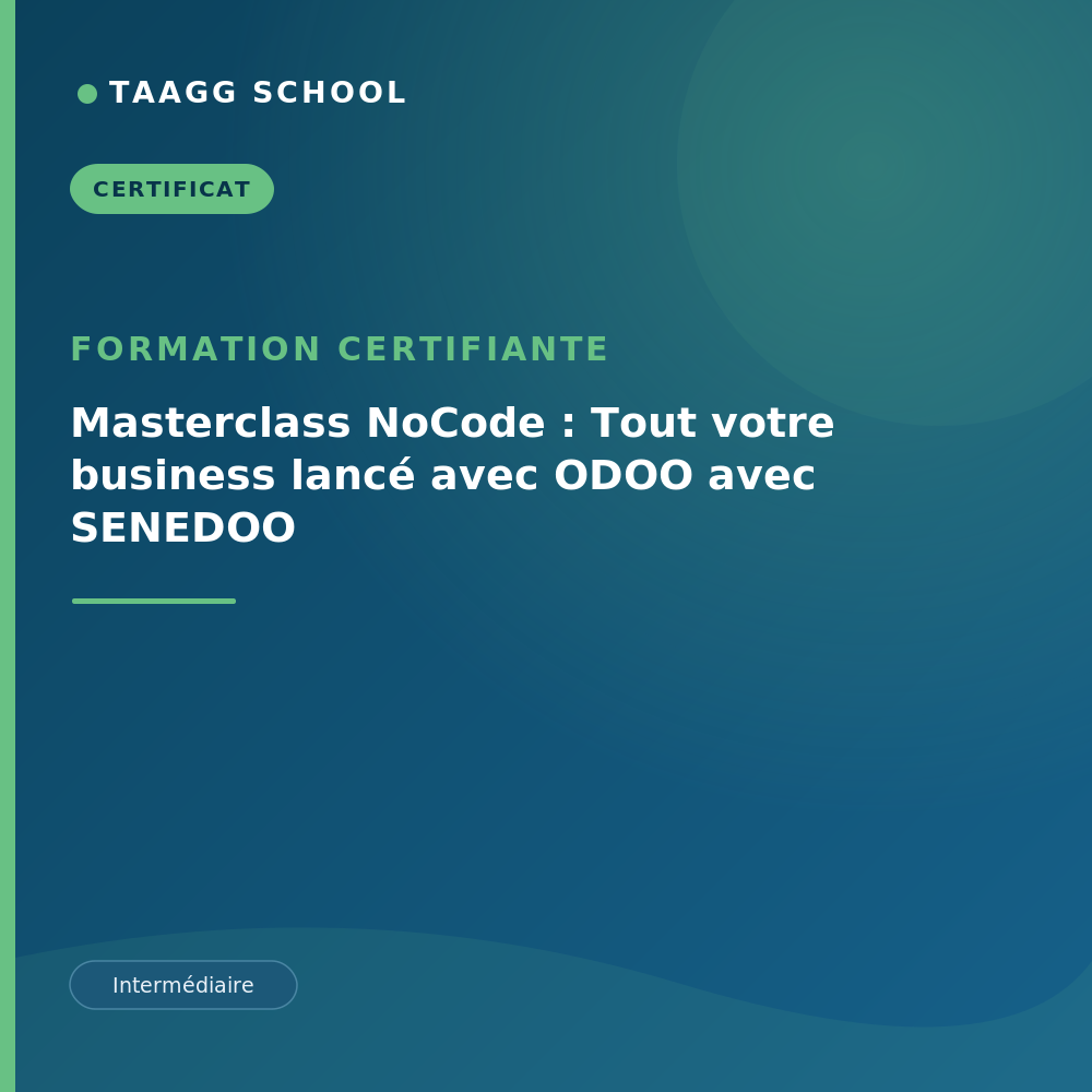 Masterclass NoCode : Tout votre business lancé avec ODOO