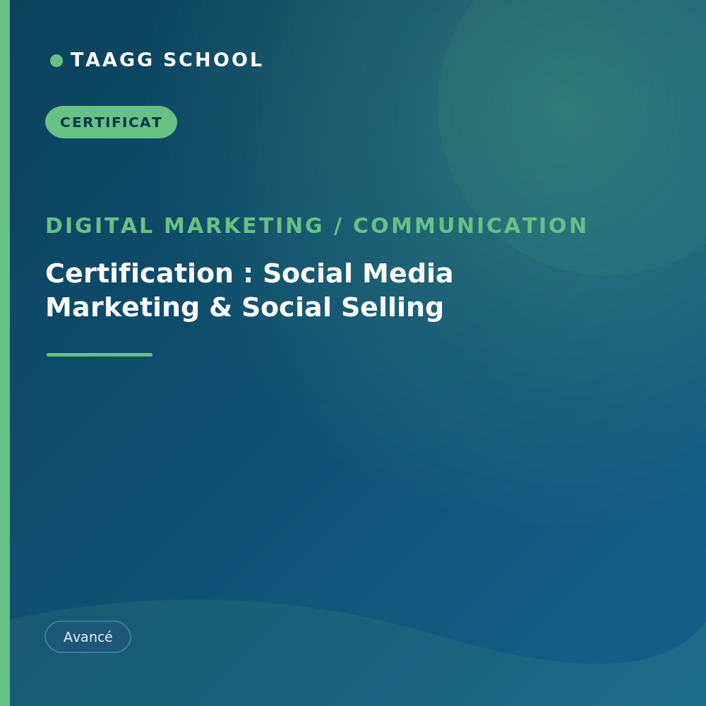 Certification : Social Media Marketing & Social Selling