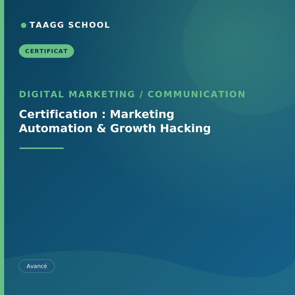 Certification : Marketing Automation & Growth Hacking
