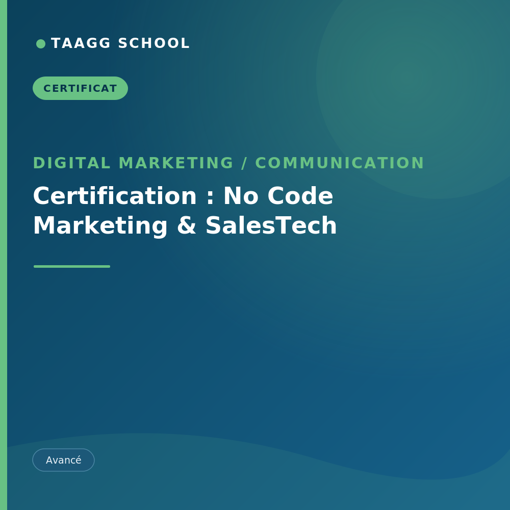 Certification : No Code Marketing & SalesTech