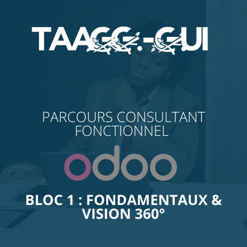 Parcours consultant fonctionnel ODOO - Bloc 1 : Fondamentaux & Vision 360°