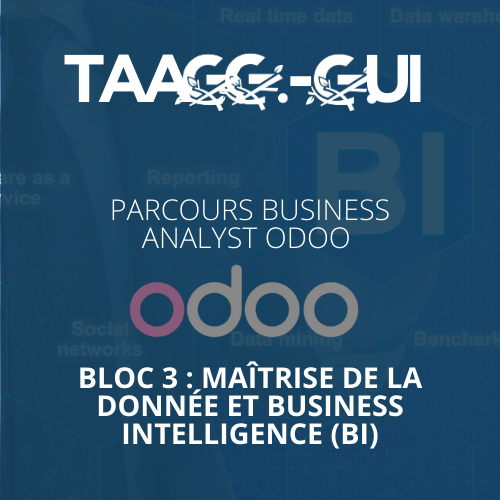 Parcours Business Analyst Odoo - Bloc 3 : Maîtrise de la Donnée et Business Intelligence (BI)