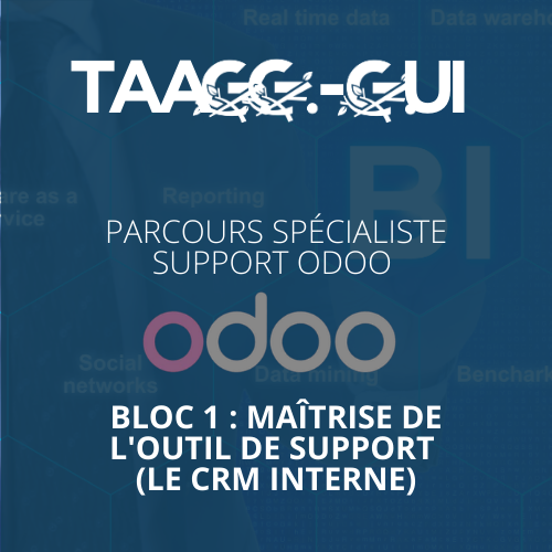 Parcours Spécialiste Support Odoo - Bloc 1 : Maîtrise de l'Outil de Support (Le CRM interne)