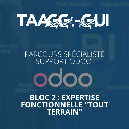 Parcours Spécialiste Support Odoo - Bloc 2 : Expertise Fonctionnelle "Tout Terrain"