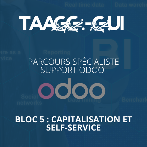 Parcours Spécialiste Support Odoo - Bloc 5 : Capitalisation et Self-Service